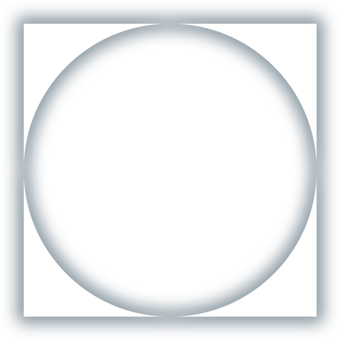 I Give Consent For Cp To Process My Data And I Understand - Vier Pfoten (1226x1219), Png Download