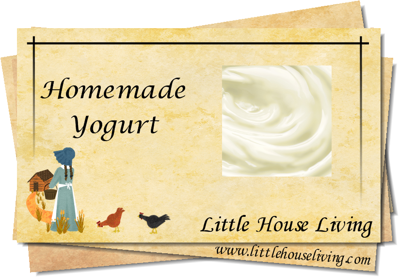 I Really Thought That Yogurt In The Crockpot Would - D'kei Valentines Graphic Pillow A Dream Is A W (900x600), Png Download