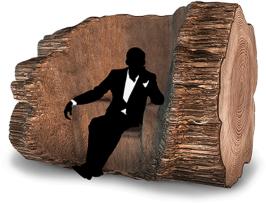 Vpro Medialab Is Wondering - Tree Trunk Chair Maarten Baas (1200x760), Png Download