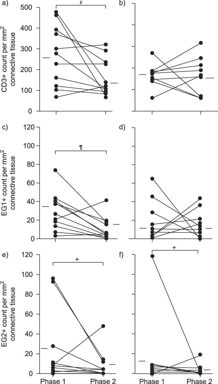 Cd3 Cells , Total Eosinophils (eg1 ) (c And D) And - Cell (747x1313), Png Download