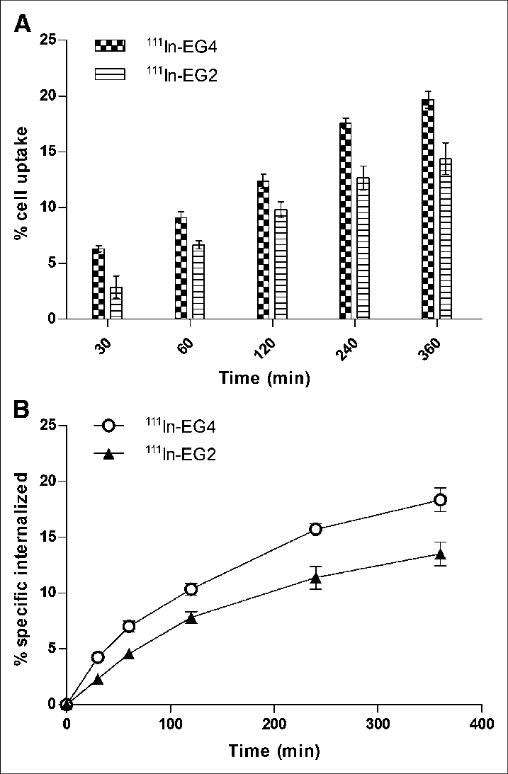 Specific Cell Uptake And Internalization Rate After - Cell (717x1093), Png Download