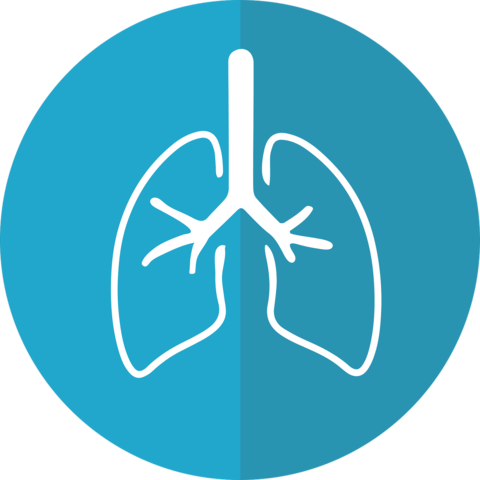 Although Most People Have Experienced Coughing Or Inflamed - Lung Cancer Awareness Month (480x480), Png Download