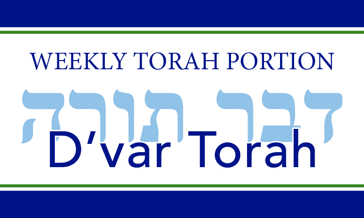 Parshat Ki Teitzei - Wesley Bible Studies - Jeremiah Through Daniel (750x450), Png Download