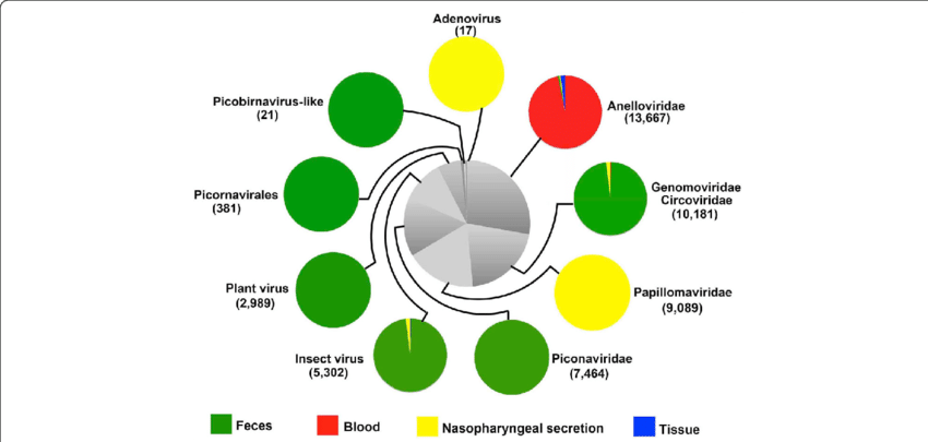 The Composition And Sample Distribution Of Eukaryotic - Nasopharyngeal Microbiome (850x405), Png Download
