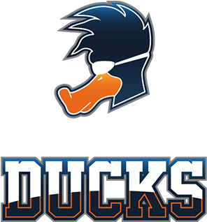 Dark Background 16-9 - Playing Ducks (792x432), Png Download