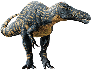 Suchomimus - Jurassic World Dinosaurs Suchomimus (800x282), Png Download