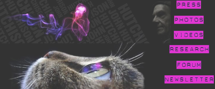 Main Image - Award Winning Cat Photography (737x306), Png Download