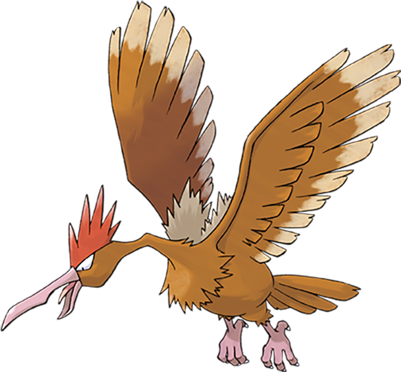 Fearow - Pokemon Fearow (640x640), Png Download