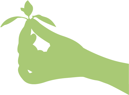 Ayurveda - Illustration (800x600), Png Download