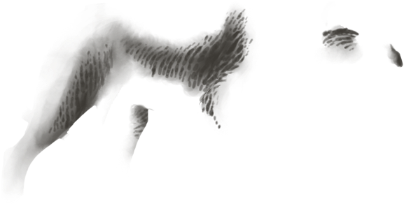 Snow (640x500), Png Download