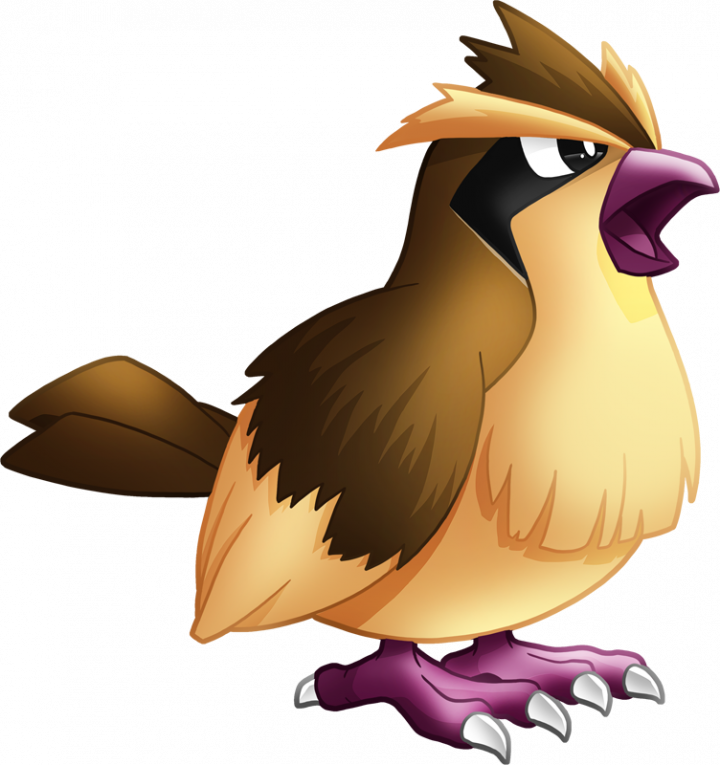 You - Pidgey Pokemon Png (720x765), Png Download