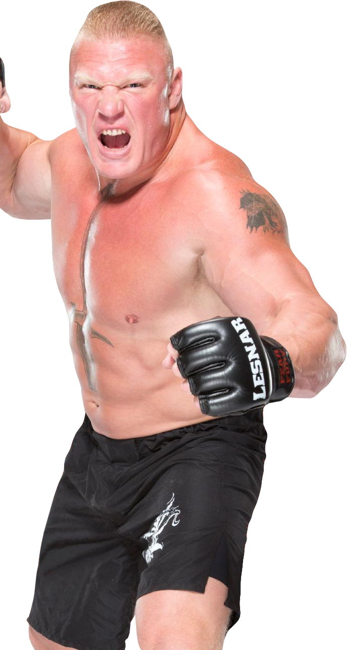 Roman Vs Brock Universal Championship (688x1287), Png Download