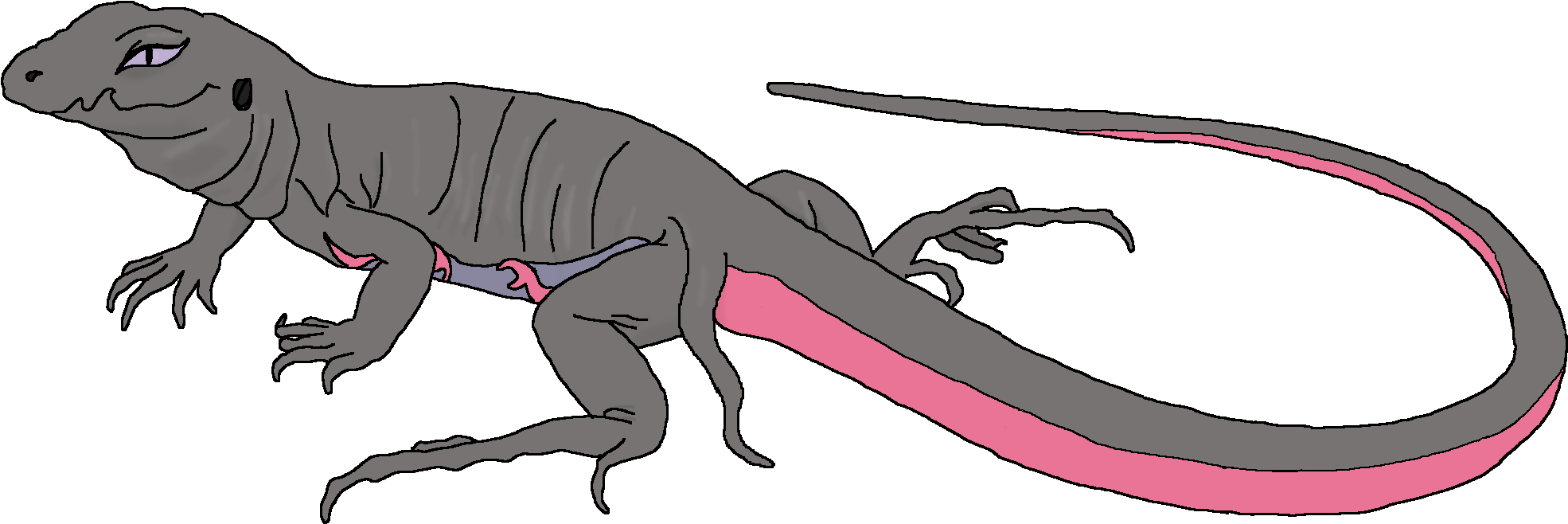 Salazzle - Portable Network Graphics (2100x900), Png Download