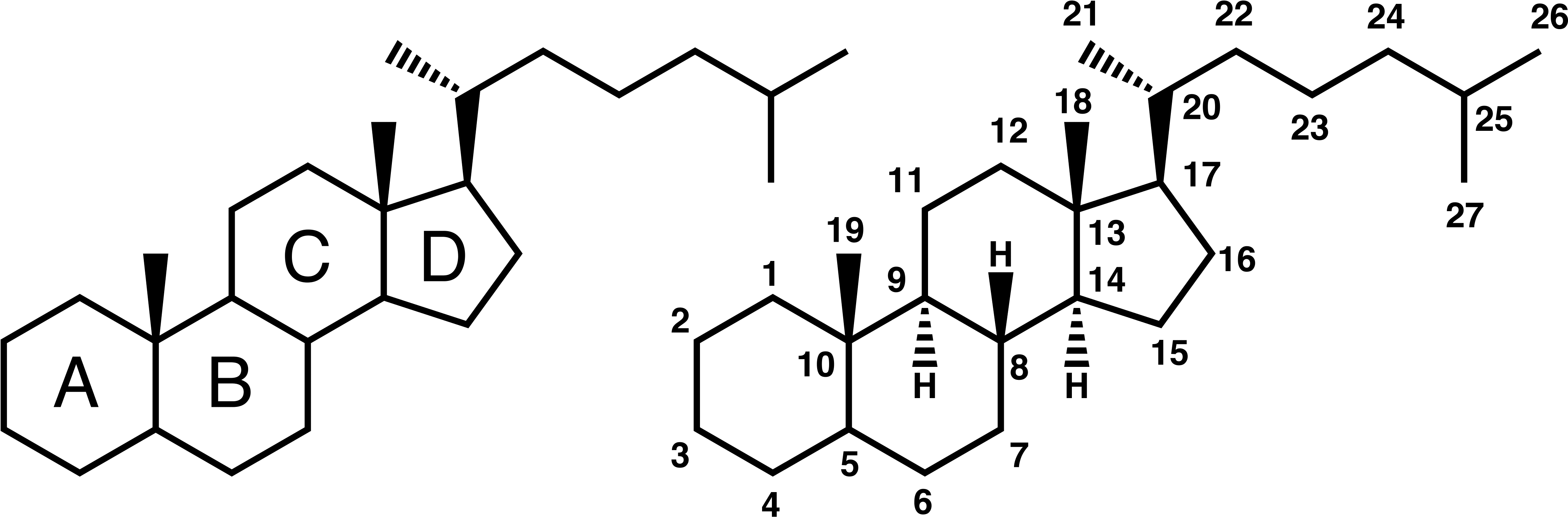 Steroid Numbering (4504x1536), Png Download