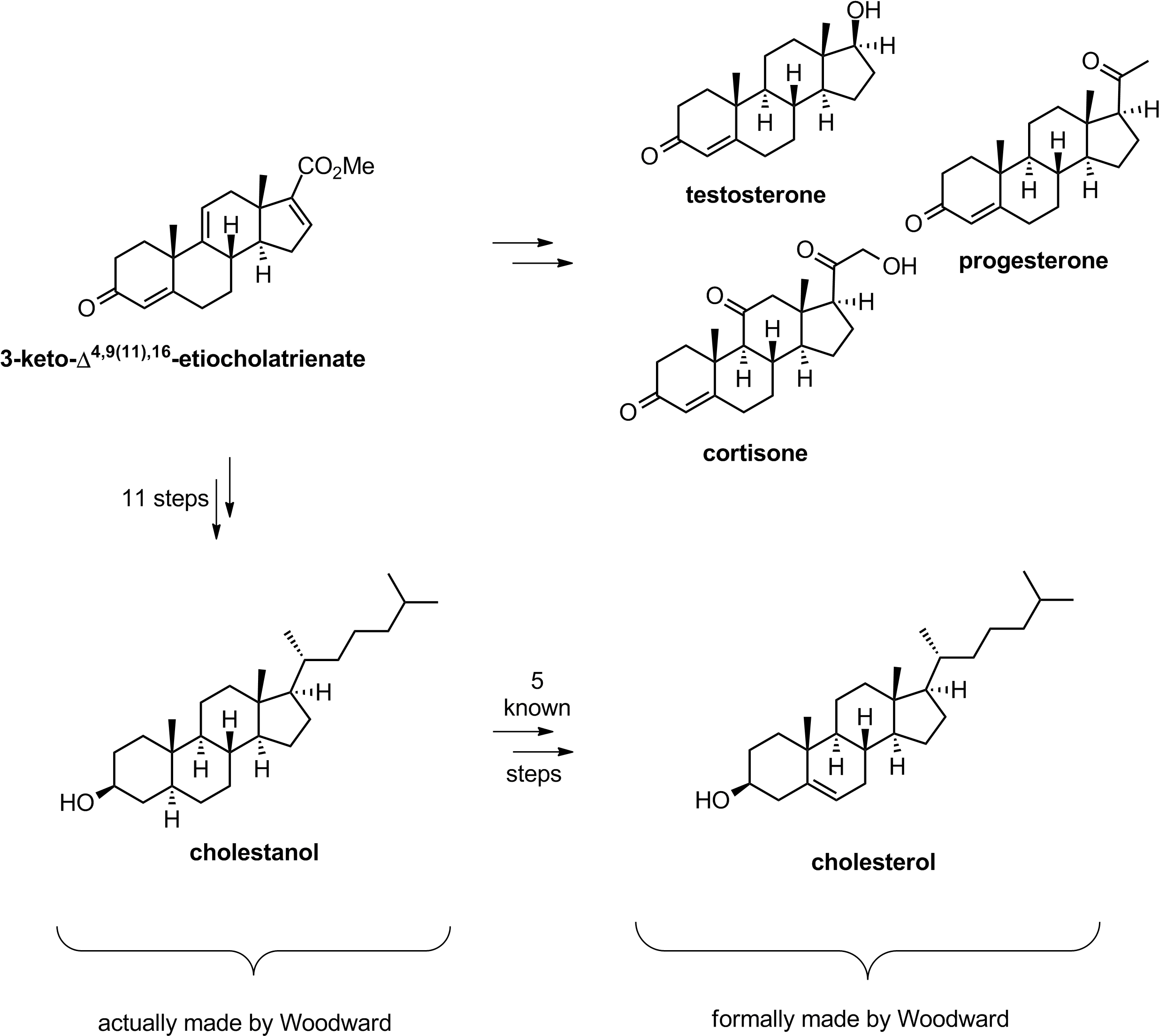 Download 1 Cortisone Testosterone Full Size PNG Image PNGkit