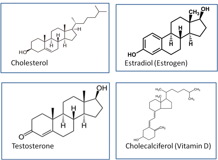 This Is To Say That Cholesterol Is The Base Steroidal - Great Testosterone Myth By Aniruddha Railkar Phd 9781534709409 (701x521), Png Download