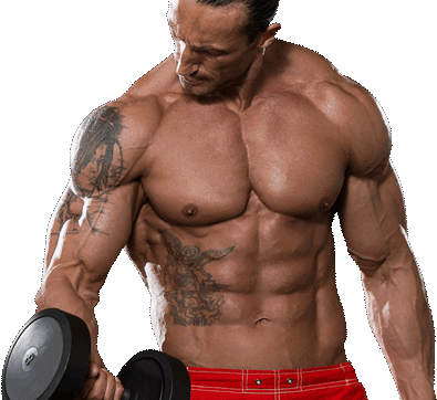 Learn How To Build Muscle And Lose Weight At Legal - Muscle (395x362), Png Download