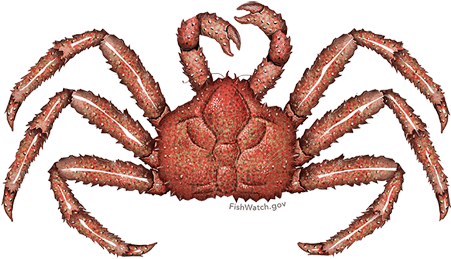 Red King Crab (640x427), Png Download
