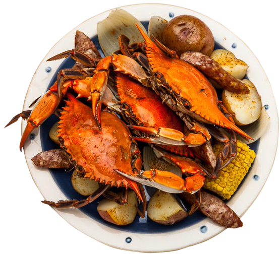 Plate Of Crab - Crabs On Plate Png (555x504), Png Download