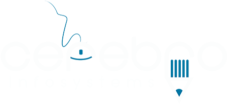 Web Development And Seo Company India - Web Design (500x243), Png Download