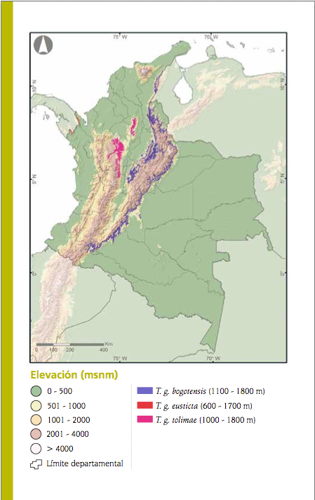 Tangara De Colombia - Mapa De Colombia (711x711), Png Download