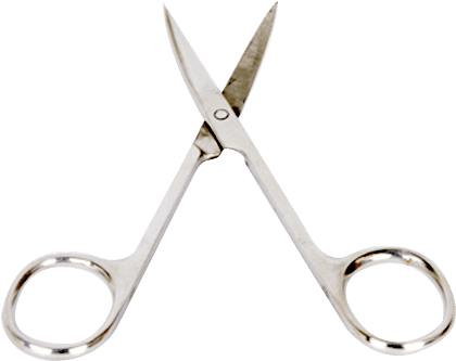 Instrumentos De Veterinaria Png (500x500), Png Download