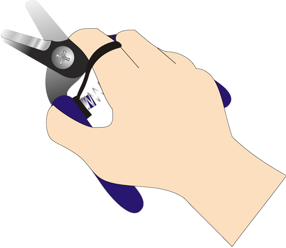 Producto1 - Tijeras Para Cortar Uvas (576x500), Png Download