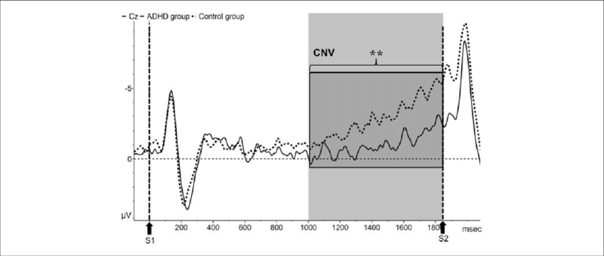 Event-related Potentials To The Warning Stimulus - Plot (850x361), Png Download