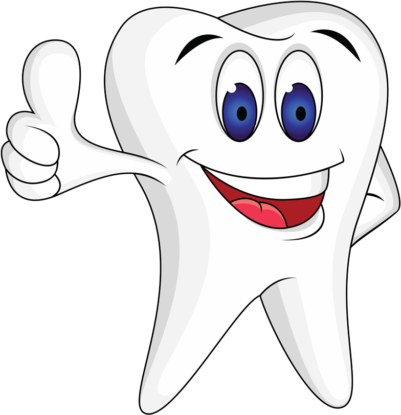 King And Weston Dental - Imagens De Um Dente (800x822), Png Download