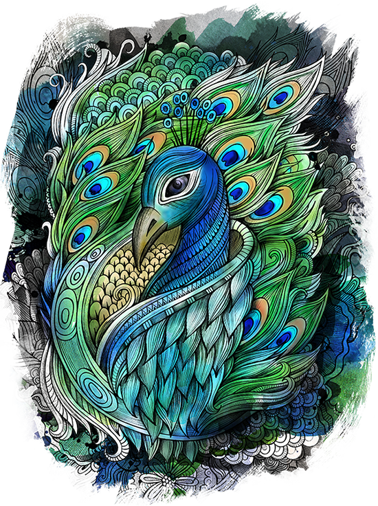 Peacock By Balabolka (550x736), Png Download