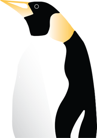 Penguin (322x458), Png Download