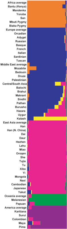 Rosenberg 6clusters Human Popluations - Race (247x800), Png Download