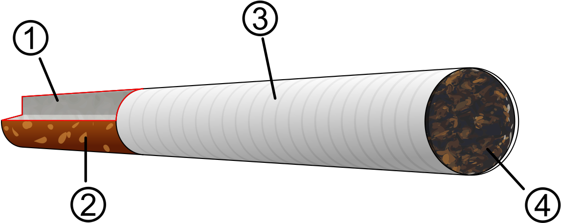 Cigarette Clipart Cigrate - Diagram Of A Cigarette (1200x477), Png Download
