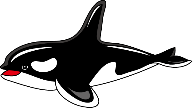 Orca Clipart Transparent - Killer Whale Clipart Png (628x354), Png Download