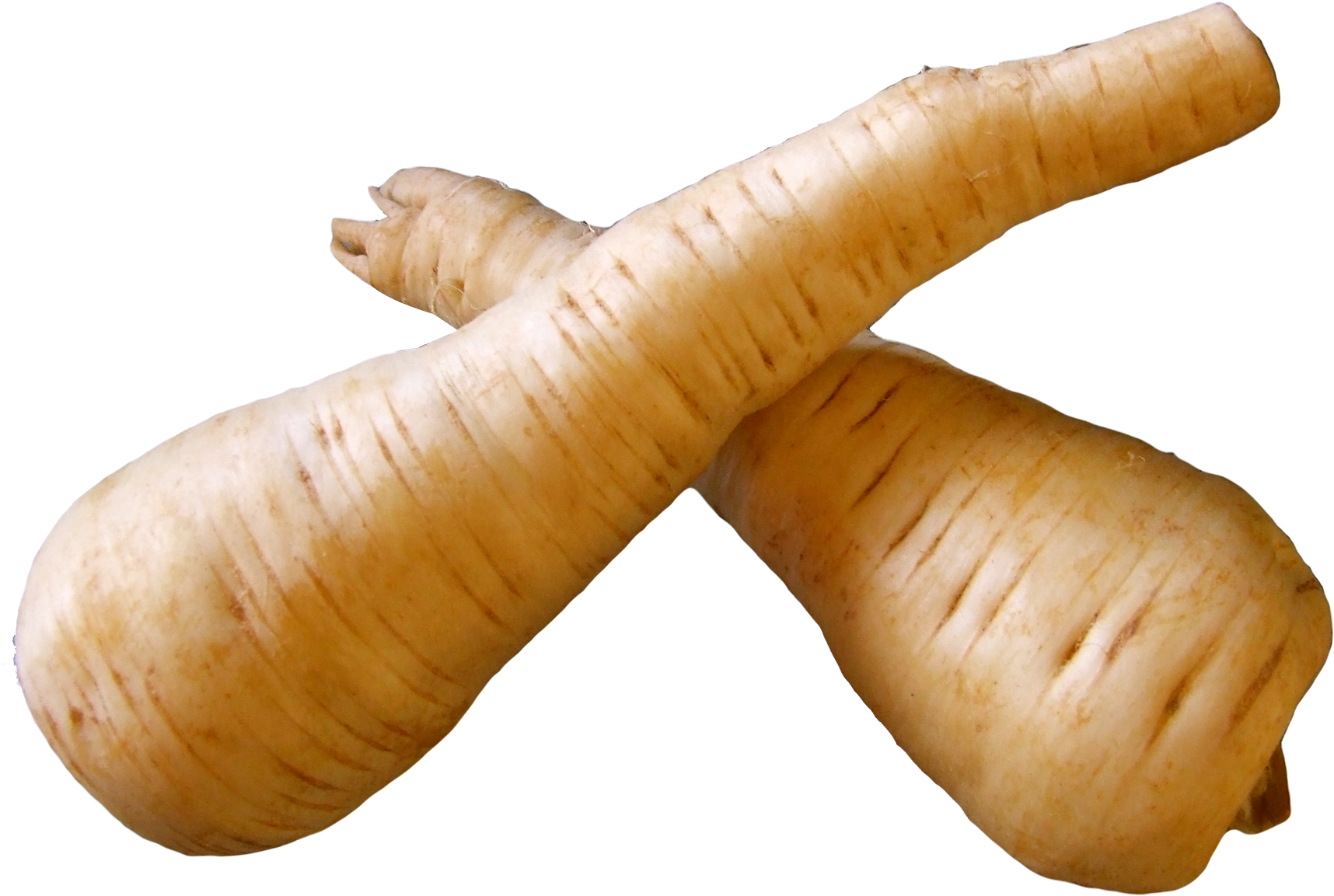 Fresh Parsnip Root Png Free Images Toppng - Parsnip Png (850x612), Png Download