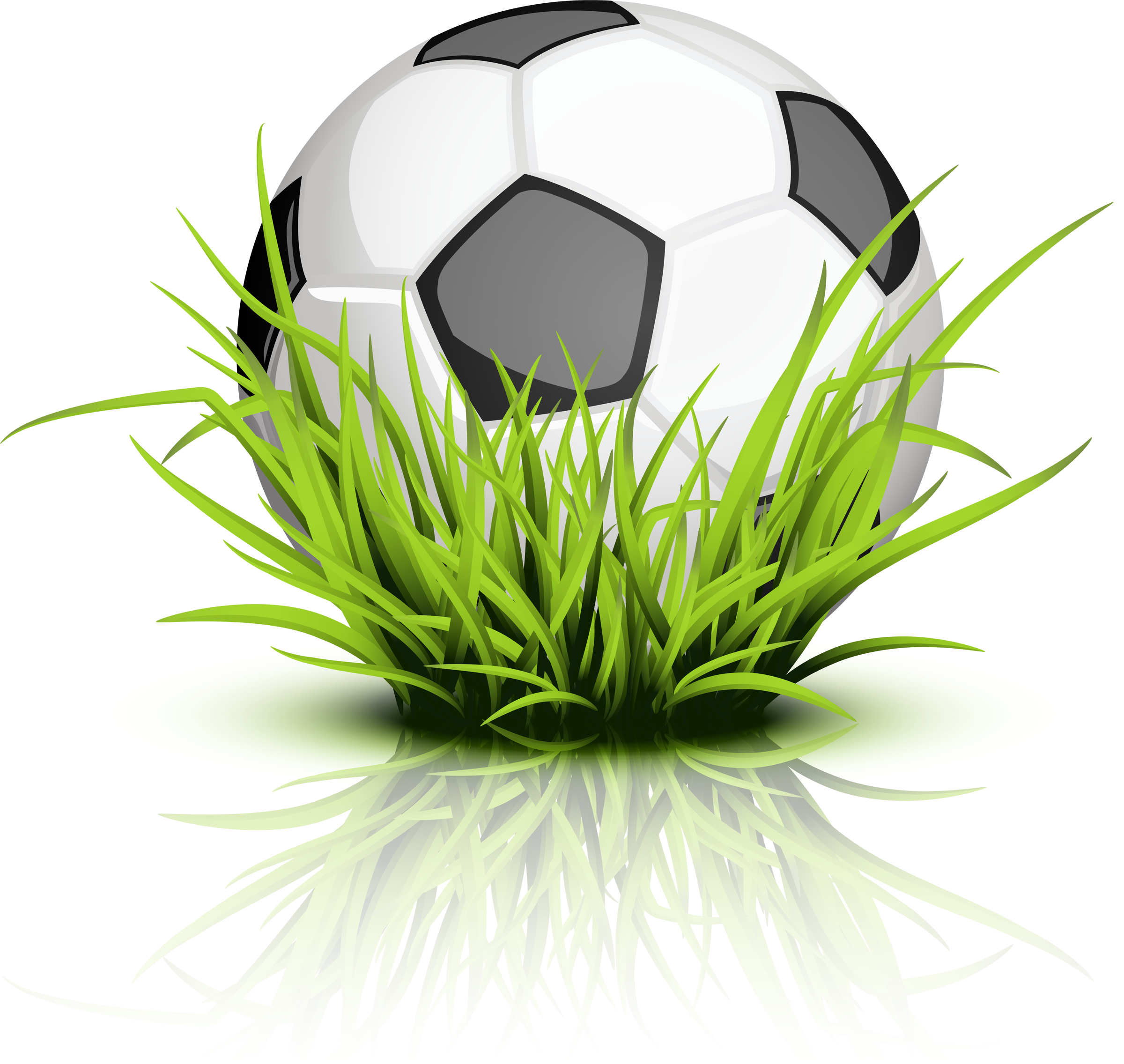 Soccer Ball Grass Soccer - Ball On Grass Tattoo (2400x2272), Png Download