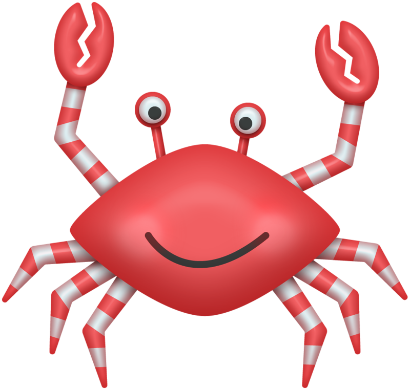 ○•‿✿⁀ocean Safari‿✿⁀•○ - Stock Illustration (800x762), Png Download