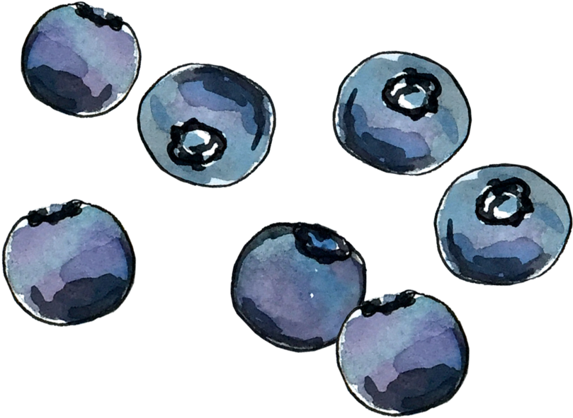Blueberry June2018 Lyndsay - Portable Network Graphics (1000x1000), Png Download