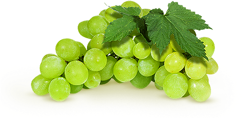White Grape - Viso Uva (538x324), Png Download