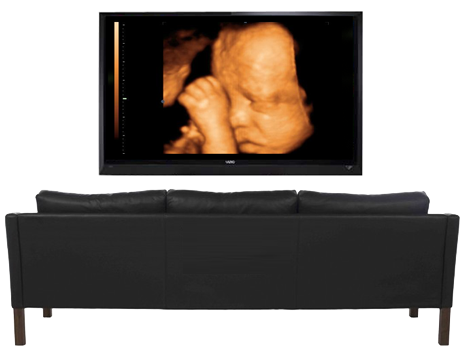 Couch - Entertainment Center (463x381), Png Download