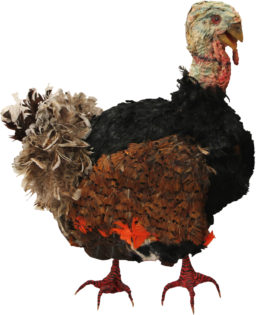 Cooked Turkey Png - Turkey Photoshop (1031x1200), Png Download