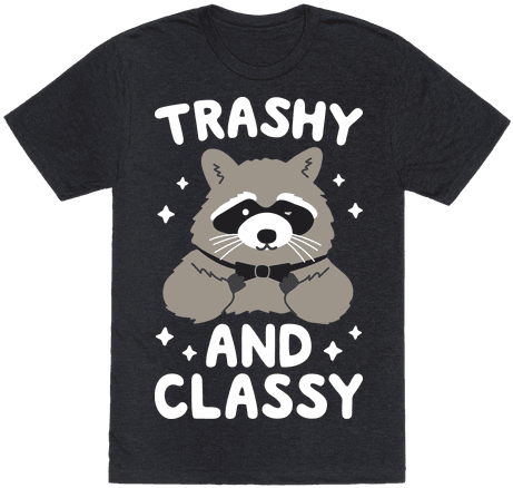 Trashy And Classy Raccoon Mens T-shirt - Boys Graphic T Shirts (484x484), Png Download