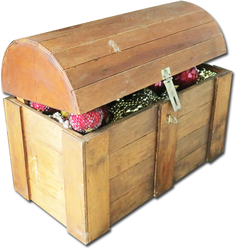 Treasurechest - Plywood (600x600), Png Download