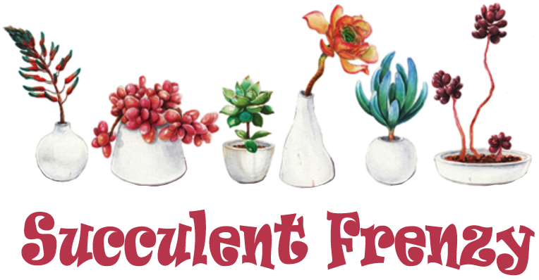 Welcome To Succulent Frenzy Online Store Welcome To - Fresh And Colorful Hand-painted Potted Plants Succulents (816x419), Png Download