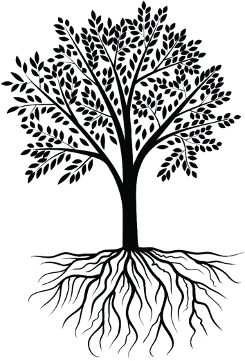 Clipart Transparent Clip Art Clipart Transprent Png - Transparent Tree With Roots (520x520), Png Download