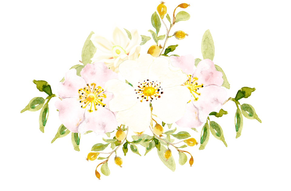 Hand Painted White Flowers Png Transparent - Rosa Canina (1024x1024), Png Download
