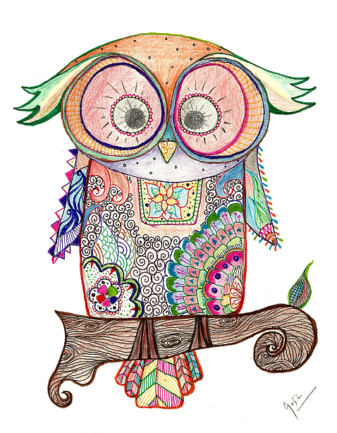 Image Transparent Stock Kolour More Clear At Night - Colourful Owl Round Ornament (479x638), Png Download
