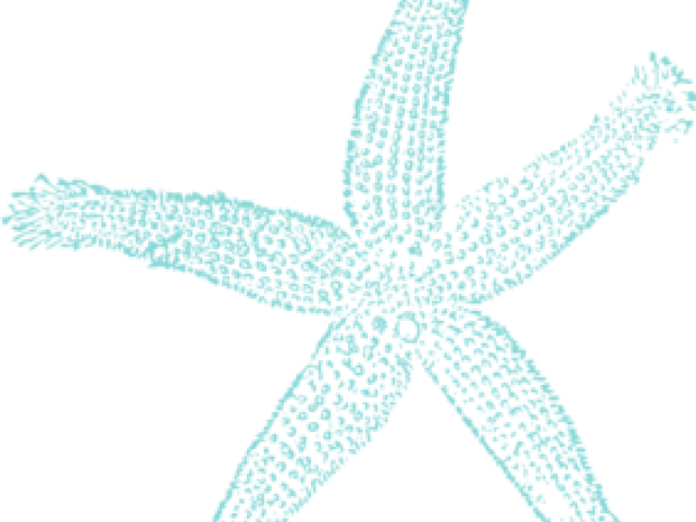 Starfish Clipart Wedding - Fish Clip Art (640x480), Png Download