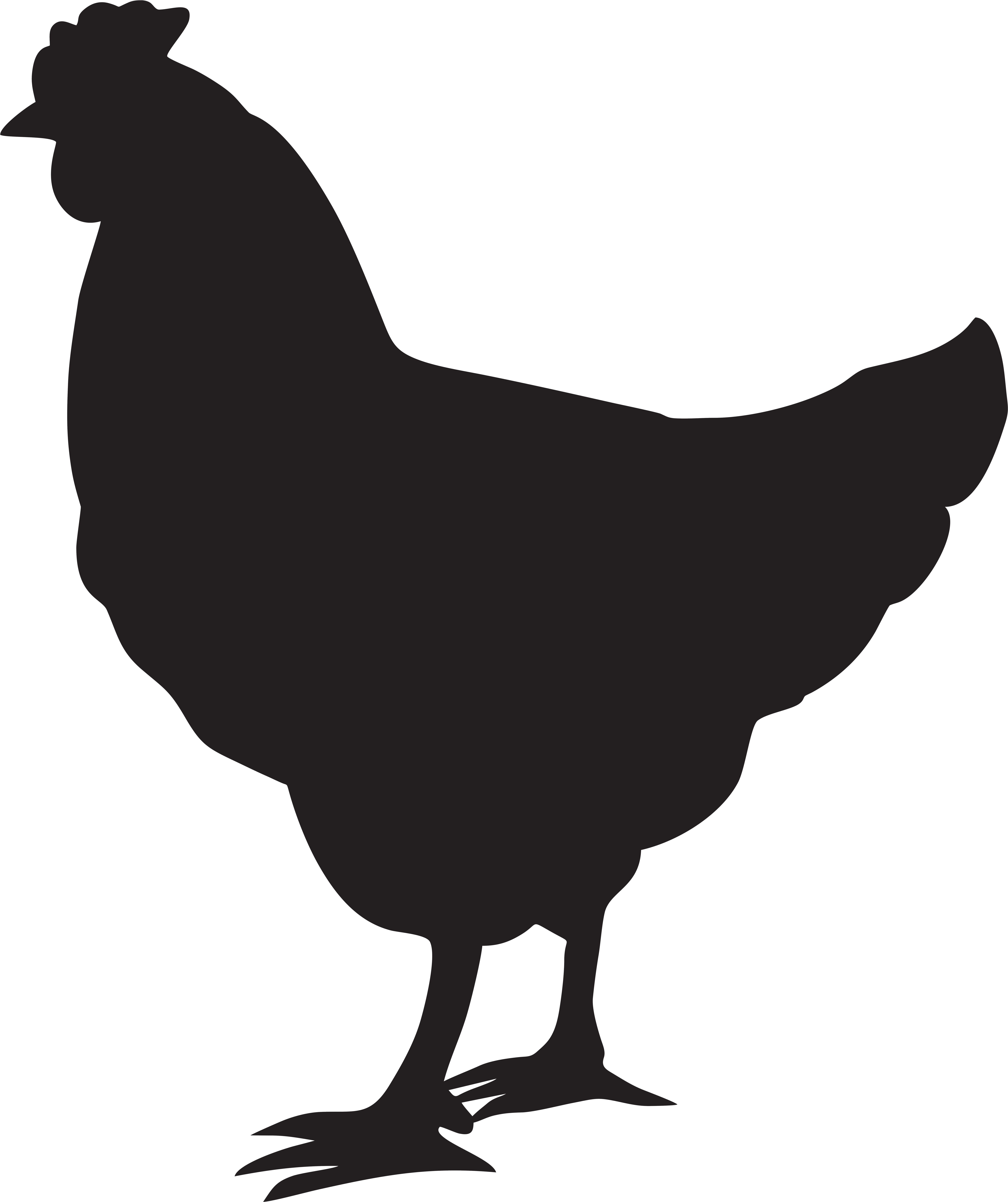 Hen Silhouette Png Clip Art Image (6709x8000), Png Download