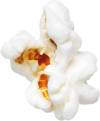 Popcorn - Moth Orchid (333x401), Png Download